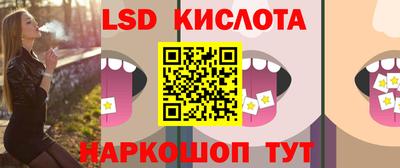 индика Заводоуковск