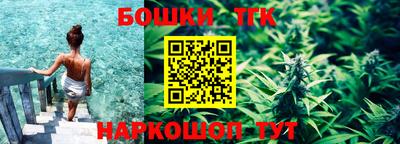 индика Заводоуковск