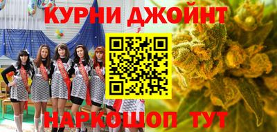 индика Заводоуковск