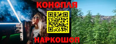 индика Заводоуковск