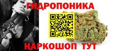 индика Заводоуковск