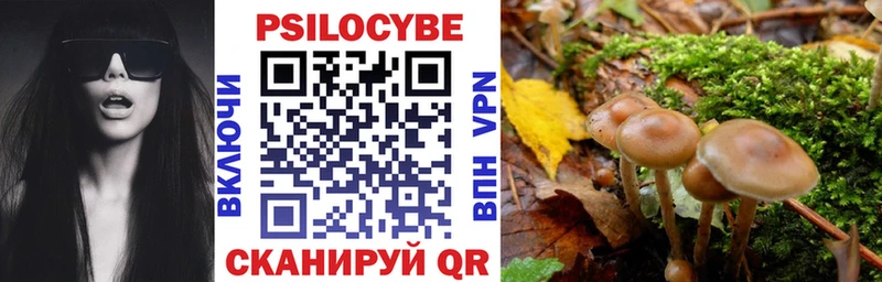 Псилоцибиновые грибы Cubensis Мирный