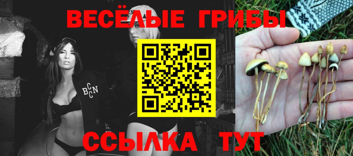 Мирный  Галлюциногенные грибы MAGIC MUSHROOMS  Вход с VPN  Псилоцибиновые грибы прущие грибы 